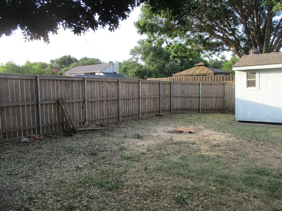 Cleared yard after professional tree removal in Chireno