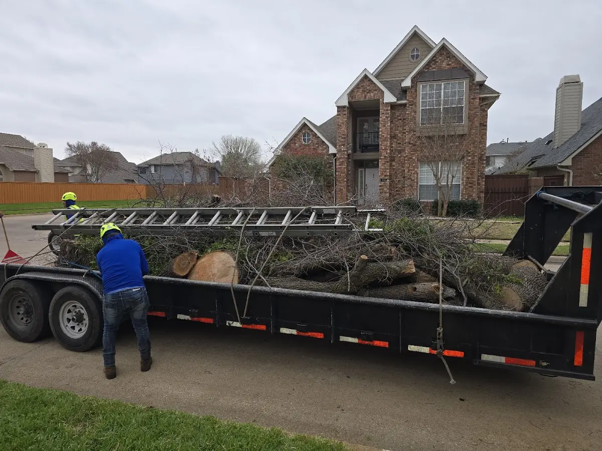 Expert Crown Reduction with proper safety equipment in Chireno